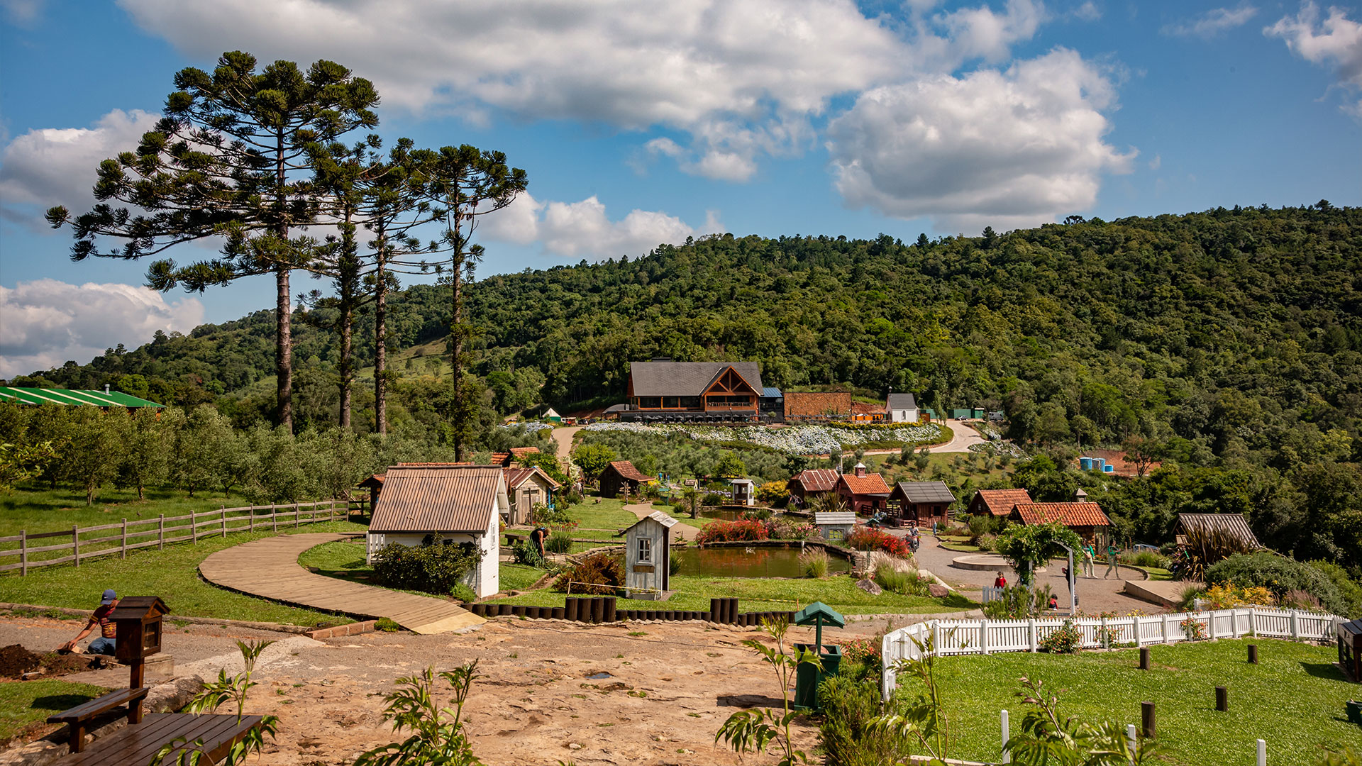 Olivas de Gramado